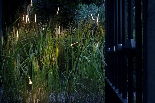 Paesaggio naturale con luce morbida e atmosfera tranquilla